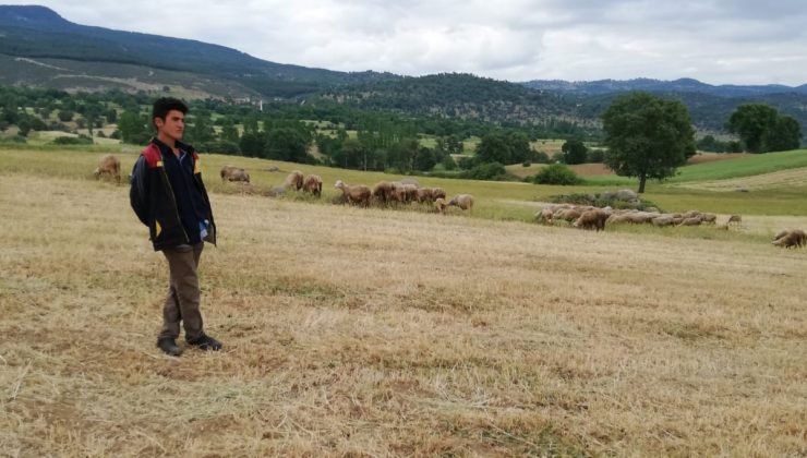 16 yaşındaki genç sulama havuzunda boğuldu