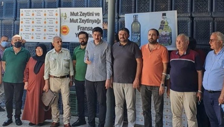 22 bin litre Mut zeytinyağı Fransa’ya ihraç edildi
