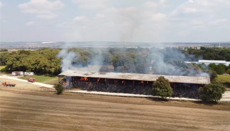 6 Bin 500 adet saman balyası küle döndü