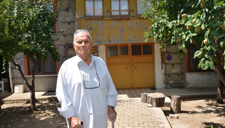 96 yaşındaki asırlık çınardan aşı çağrısı