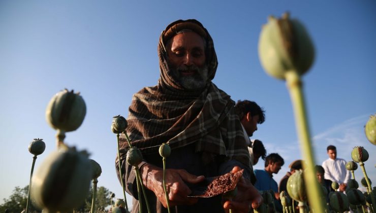 ABD Basını: “Afganistan’da demokrasi için yola çıktık ancak elimizdeki daha çok ‘bir eroin toptancısı’ gibi”