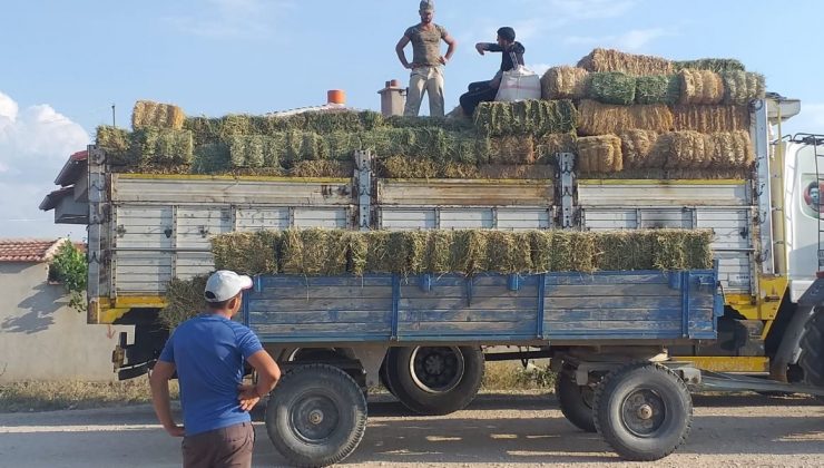 Afyonlu yetiştiricilerden yangın bölgesine yem desteği