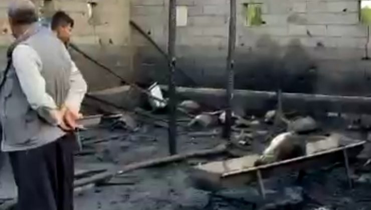 Ahır yangınında 25 hayvan telef oldu