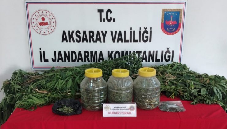 Aksaray Jandarmadan köy evine kenevir operasyonu