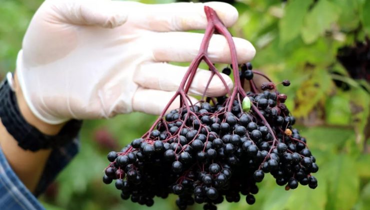 Akyazı Belediyesinin projesine bakanlıktan 1.2 milyonluk hibe desteği