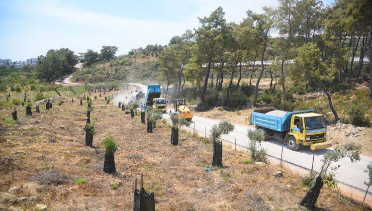 Alanya Belediyesi’nden batı mahallerine asfalt çalışması
