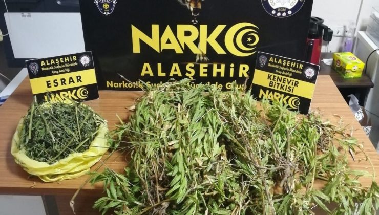 Alaşehir’de esrar ve kenevir ele geçirildi