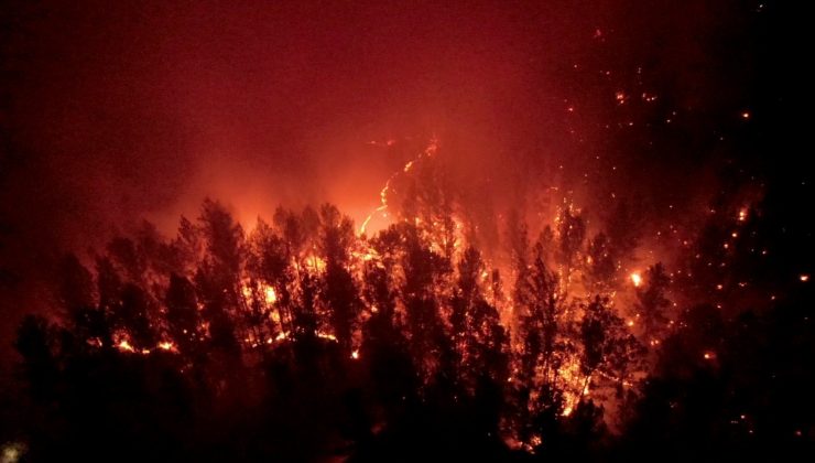 Alevler geceyi gündüze çevirdi