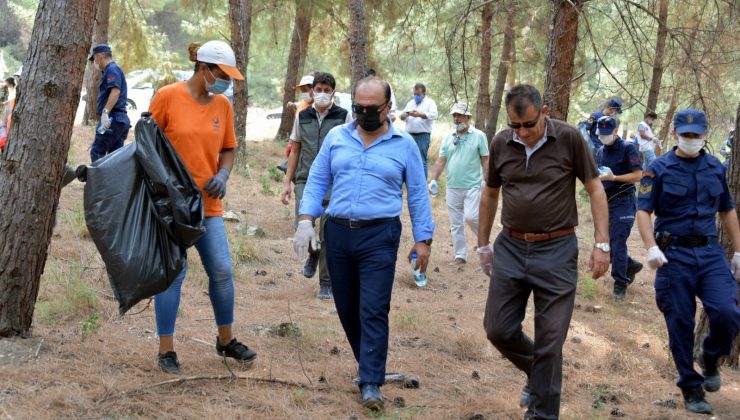 Aliağa’da orman temizliği devam ediyor