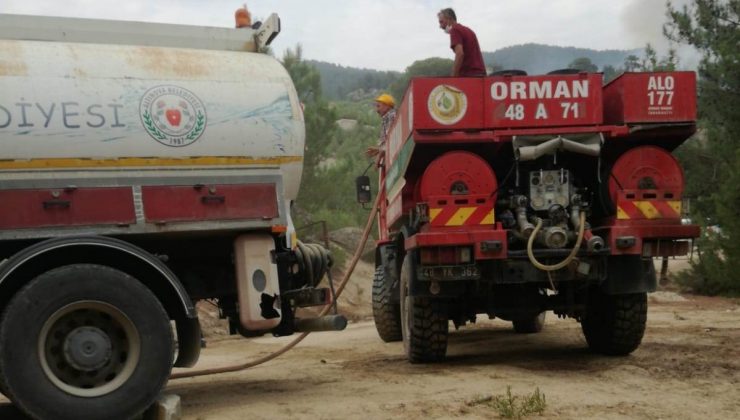 Altınova ekibi yangın bölgesinde