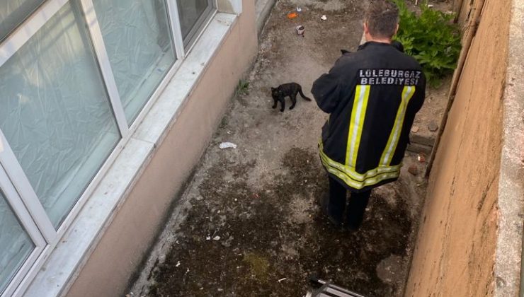Apartman boşluğunda mahsur kalan kedi itfaiye ekiplerince kurtarıldı