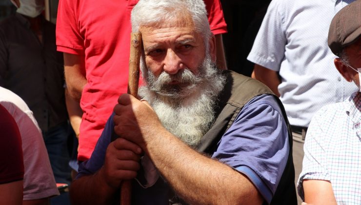 Arıcılar kara kara düşünüyor, tek istekleri var