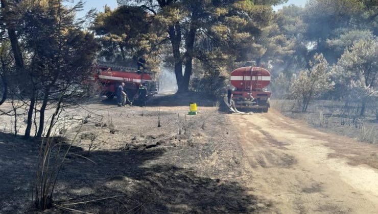 Arnavutluk orman yangınlarıyla boğuşuyor