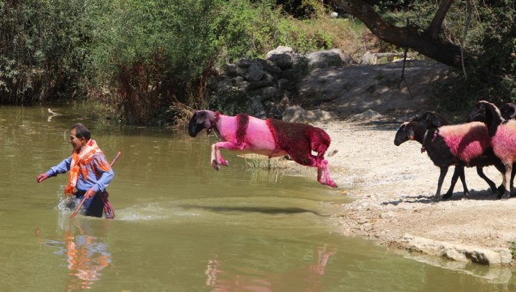 Asırlık yarış ödülle sona erdi