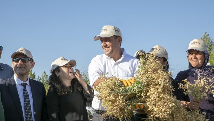 Atalık Gülnar nohudunun ilk hasadı, Başkan Seçer’in katılımıyla yapıldı