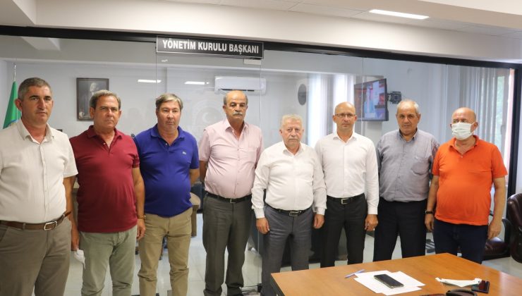 Ayçiçeği üreticisinin fiyat beklentisi