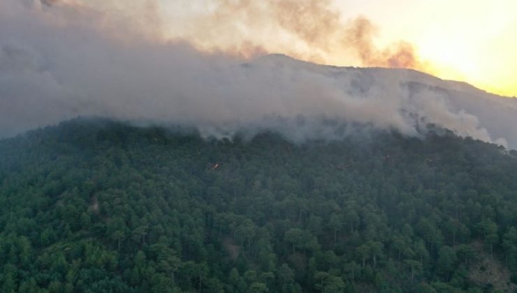 Aydın Karacasu da alevlere teslim oldu