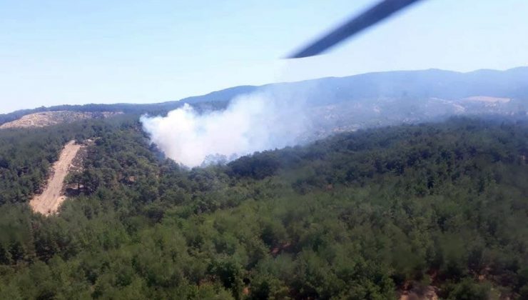 Aydın’da aynı anda iki orman yangını çıktı