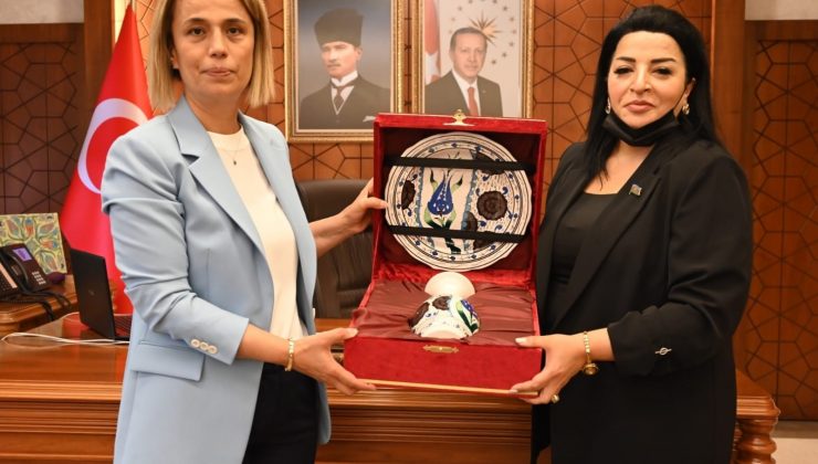 Azeri vekilden Vali Becel’e ziyaret