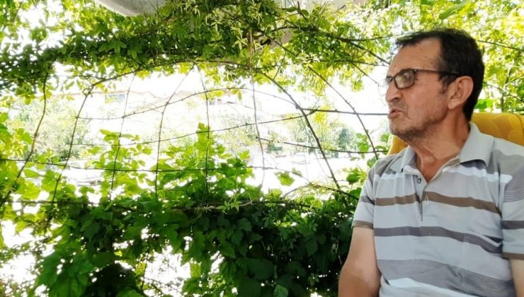 Bahçesinin çitini canlı bitkileri örerek elde etti