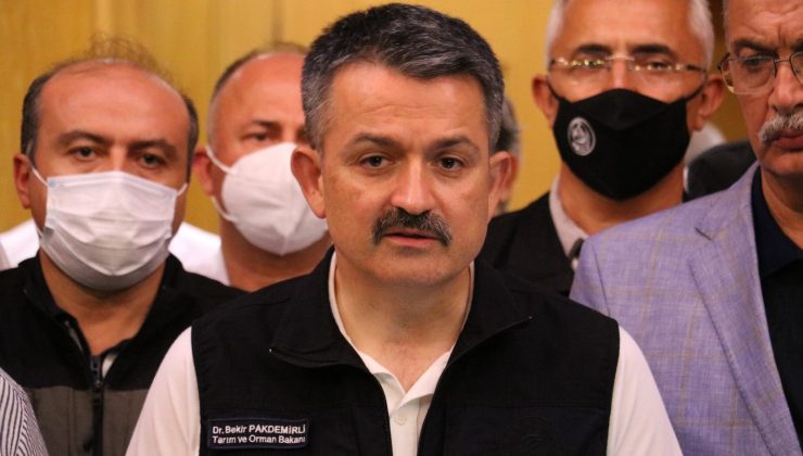 Bakan Pakdemirli: “Teknik ve adli inceleme devam ediyor”