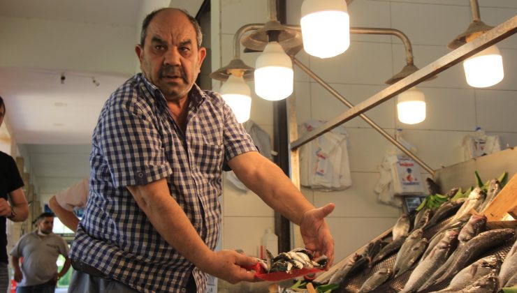 Balık avı sezonu öncesi fiyatlar normal seyrediyor