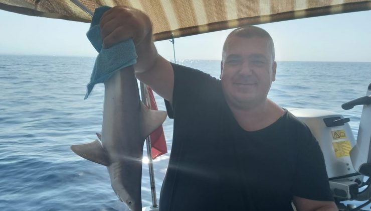 Balıkçı ağına takılan yavru köpek balığı kurtarılarak denize bırakıldı