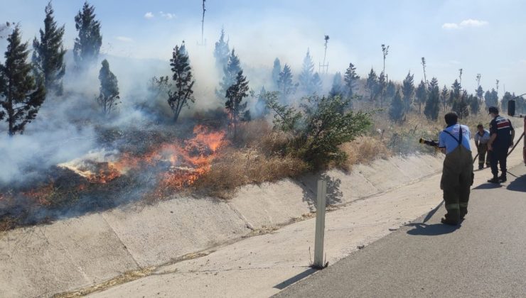 Bandırma’da yol kenarında yangın