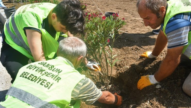 Başkan Demir: “Kentin her köşesine estetik dokunuşlar yapıyoruz”