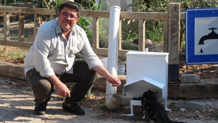 Başkan Kökten’den sokak hayvanları için örnek proje