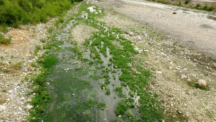 Batman Barajı’nı besleyen Sason Çayında tehlike sinyalleri