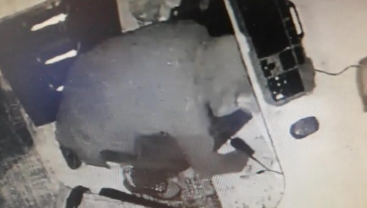 Batman’da iş yerine giren hırsız kameraya takıldı