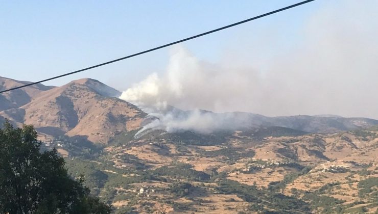 Bingöl’de 2 farklı noktada orman yangını