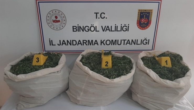 Bingöl’de terörün finans kaynağına darbe