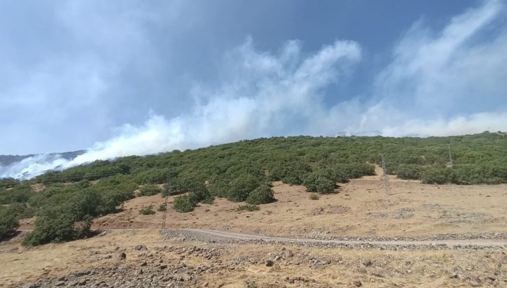 Bingöl’deki orman yangınına müdahale sürüyor