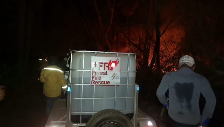 Bolivya’da orman yangınları