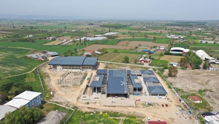 Böylesi ancak büyük şehirlerde olur