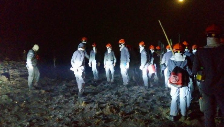 Brezilya’da dilek fenerinin düştüğü parkta yangınla mücadele sürüyor