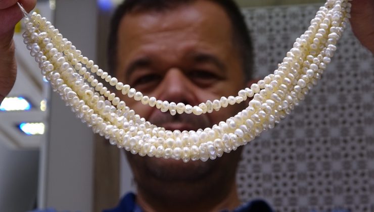 Altından 4 kat daha pahalı