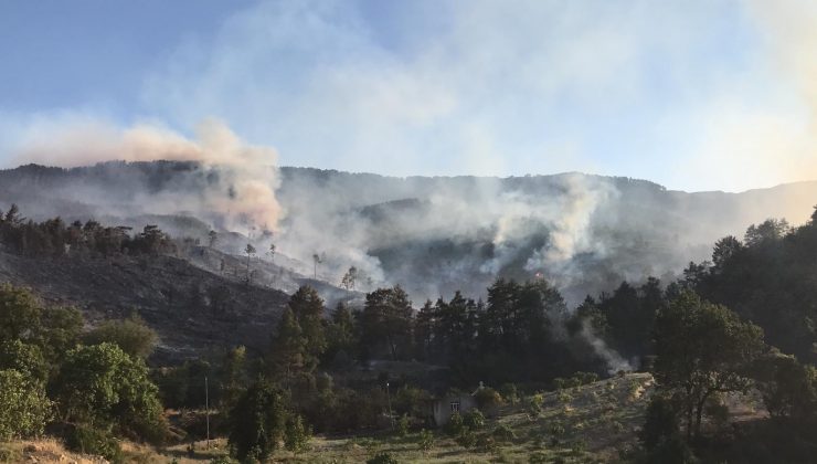 Bucak yangınında 53 ev boşaltıldı