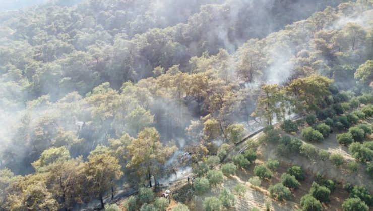 Buharkent’teki orman yangını kontrol altına alındı