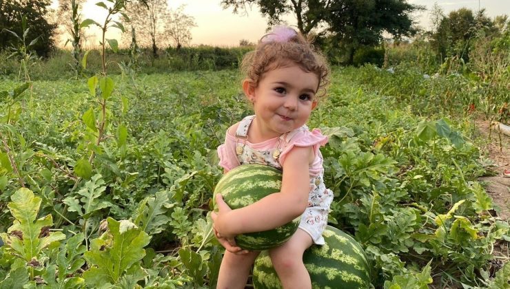 Bunaltıcı sıcaklar vatandaşı sulu meyvelere yönlendirdi