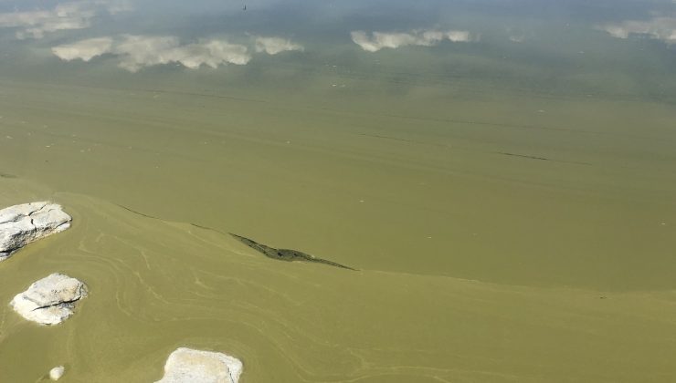 Burdur Gölü’nde alg patlaması