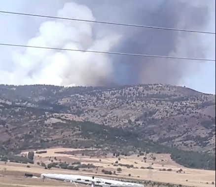 Burdur’un Tefenni ilçesinde orman yangını