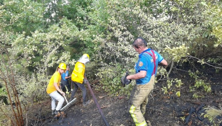 Bursa’da orman yangını paniği