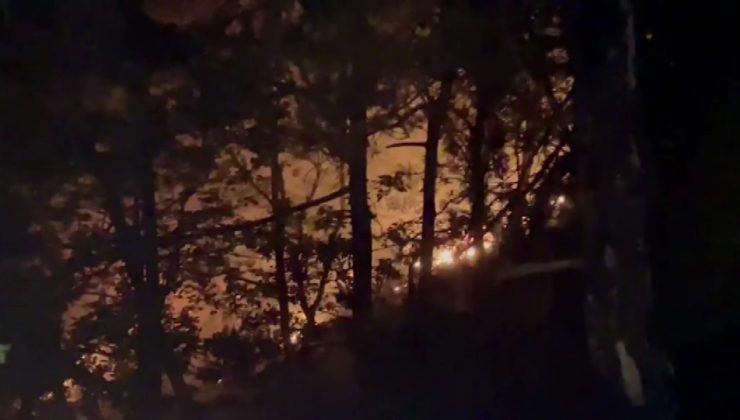 Bursa’da yıldırım düştü, ormanlık alanda yangın çıktı