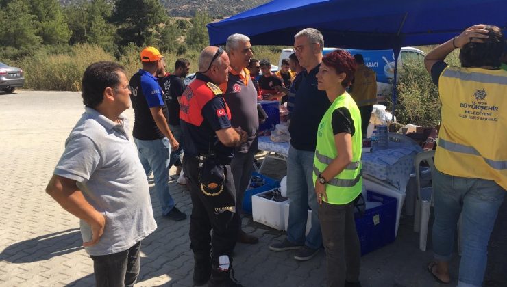 Büyükşehir yangın bölgesinde yaraları sarıyor