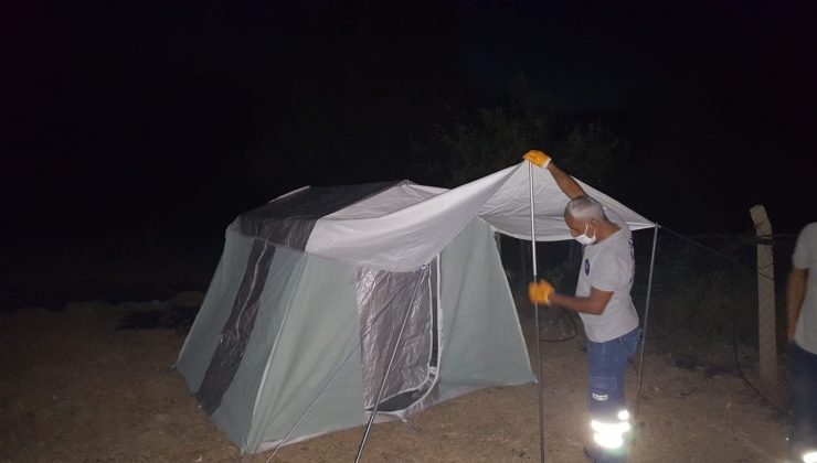 Büyükşehir yangın bölgesinde yaraları sarıyor