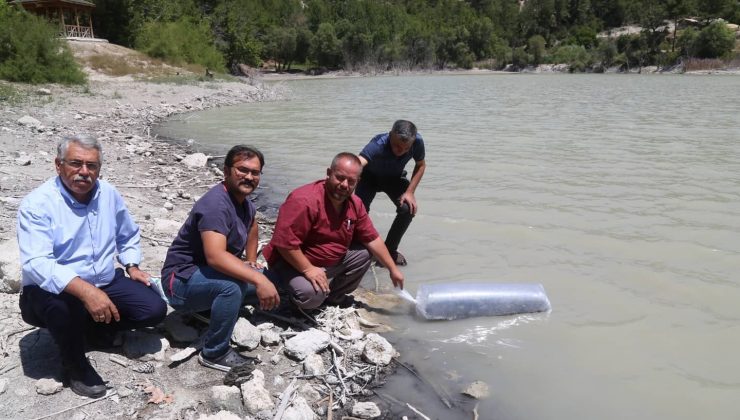 Çameli’nin doğal güzelliği Kolak Gölüne 10 bin yavru sazan balığı bırakıldı