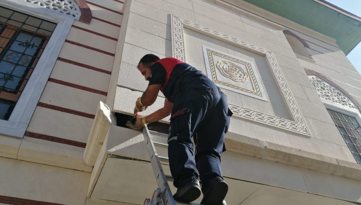 Caminin dış kaplamasına sıkışan yavru kediyi itfaiye kurtardı